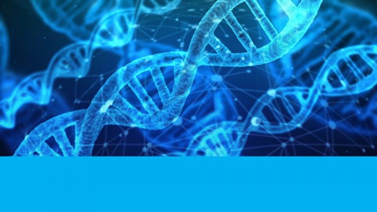 CC-BY-NC-SA EPFL Library