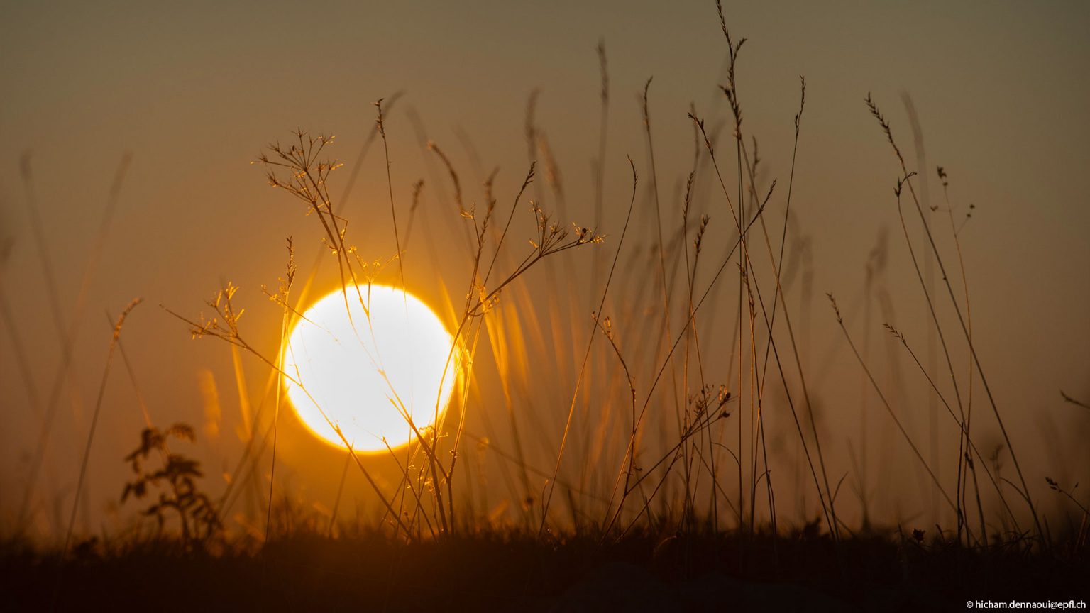 Lever de soleil sur le Mont Tendre