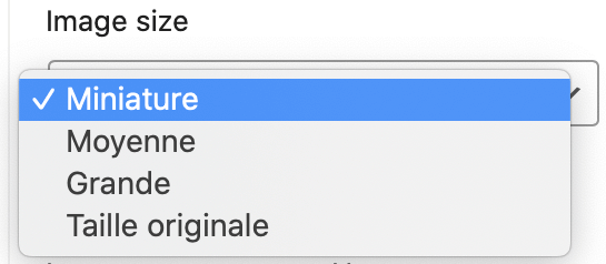 Tailles prédéfinies