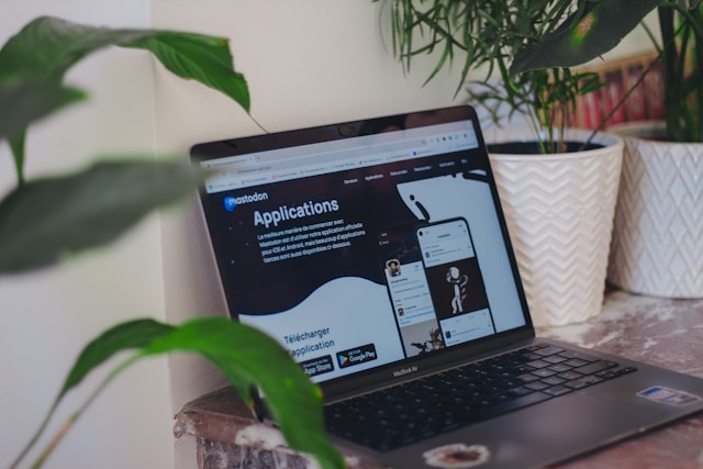 Au premier plan, une plante verte. Au second plan, un ordinateur avec mastodon, posé sur une table