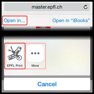 safari IOS example